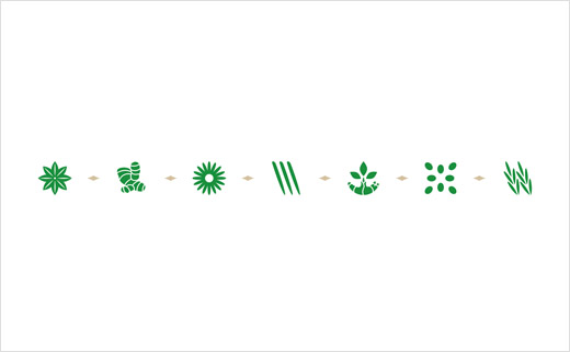 酒類包裝設(shè)計(jì)