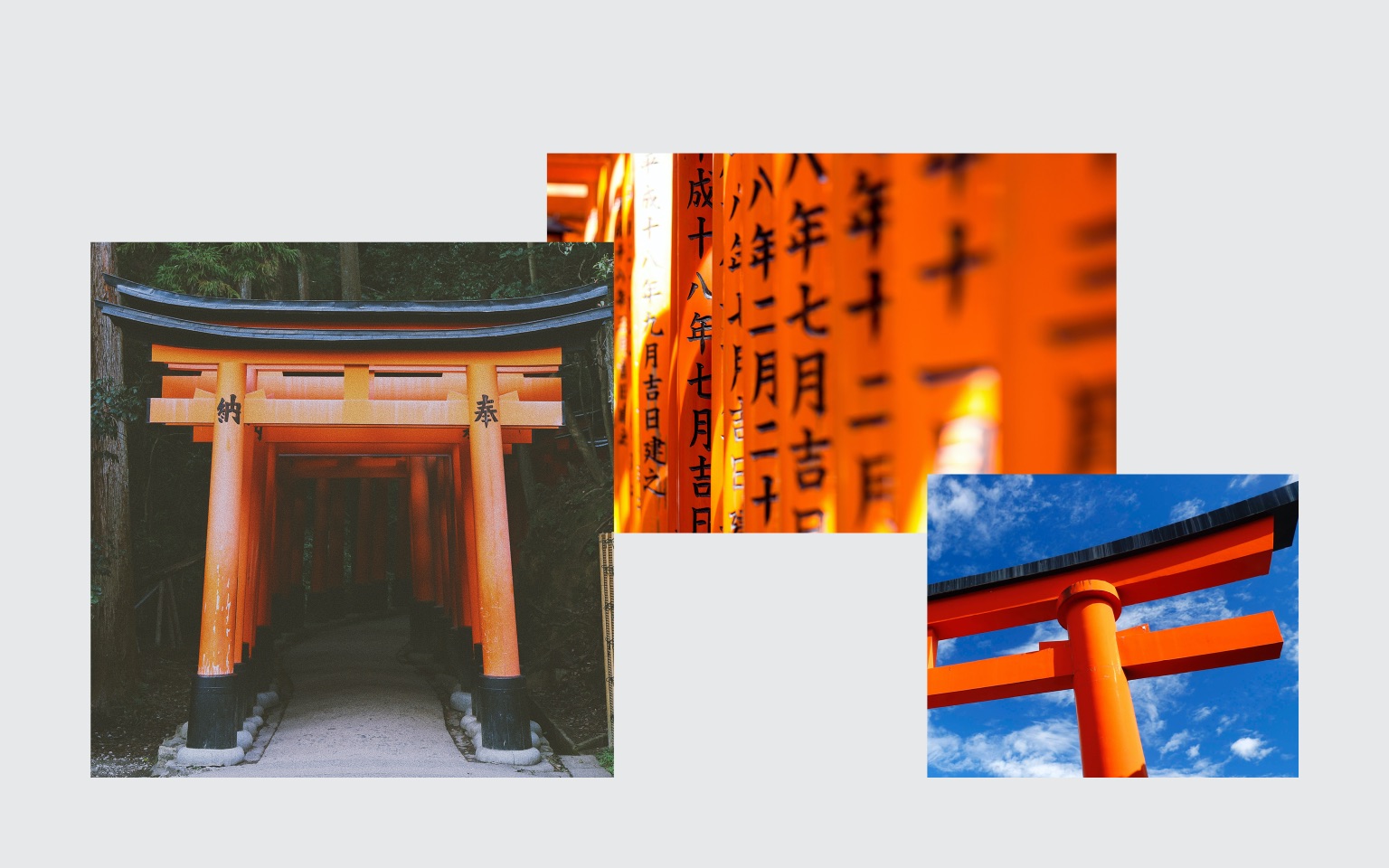航空公司品牌形象設計